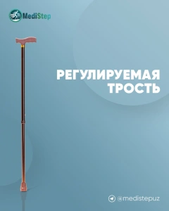Трость телескопическая для взрослых AC-04