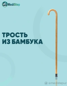 Трость обыкновенная из бамбука