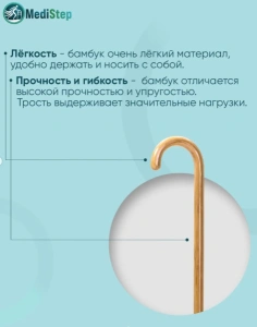 Трость обыкновенная из бамбука