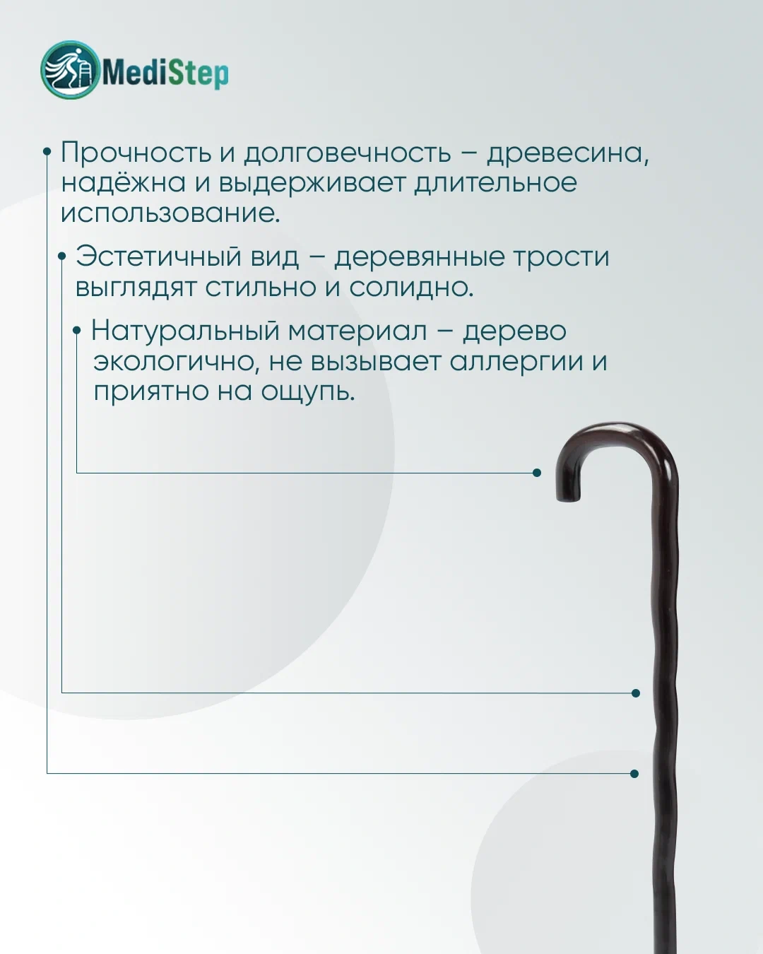 Трость обыкновенная деревянная