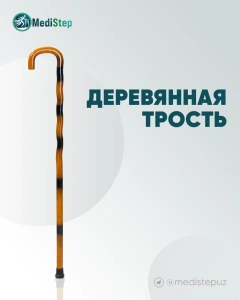 Трость обыкновенная деревянная